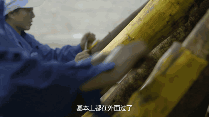 香港九龙精准特料