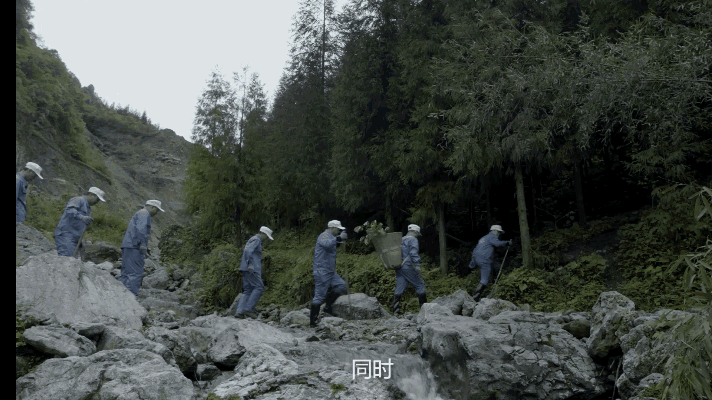 香港九龙精准特料