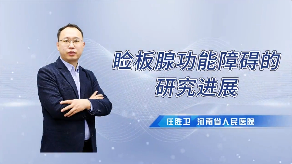 香港九龙精准特料