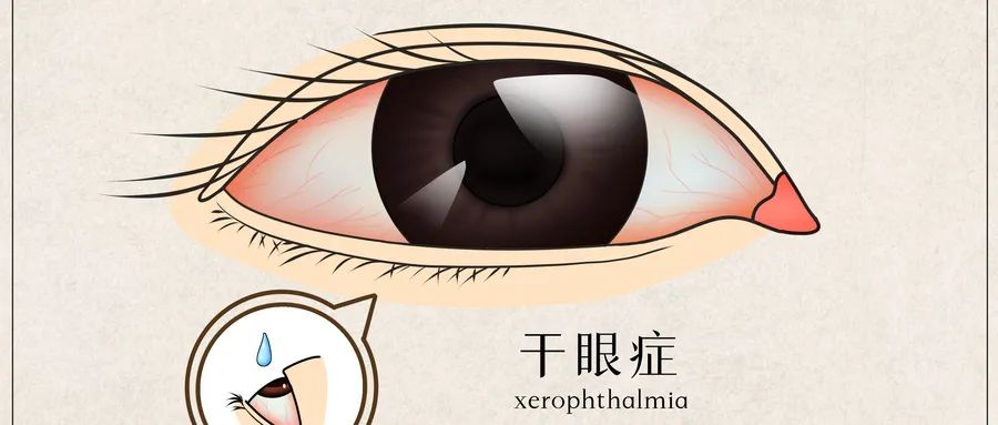 香港九龙精准特料