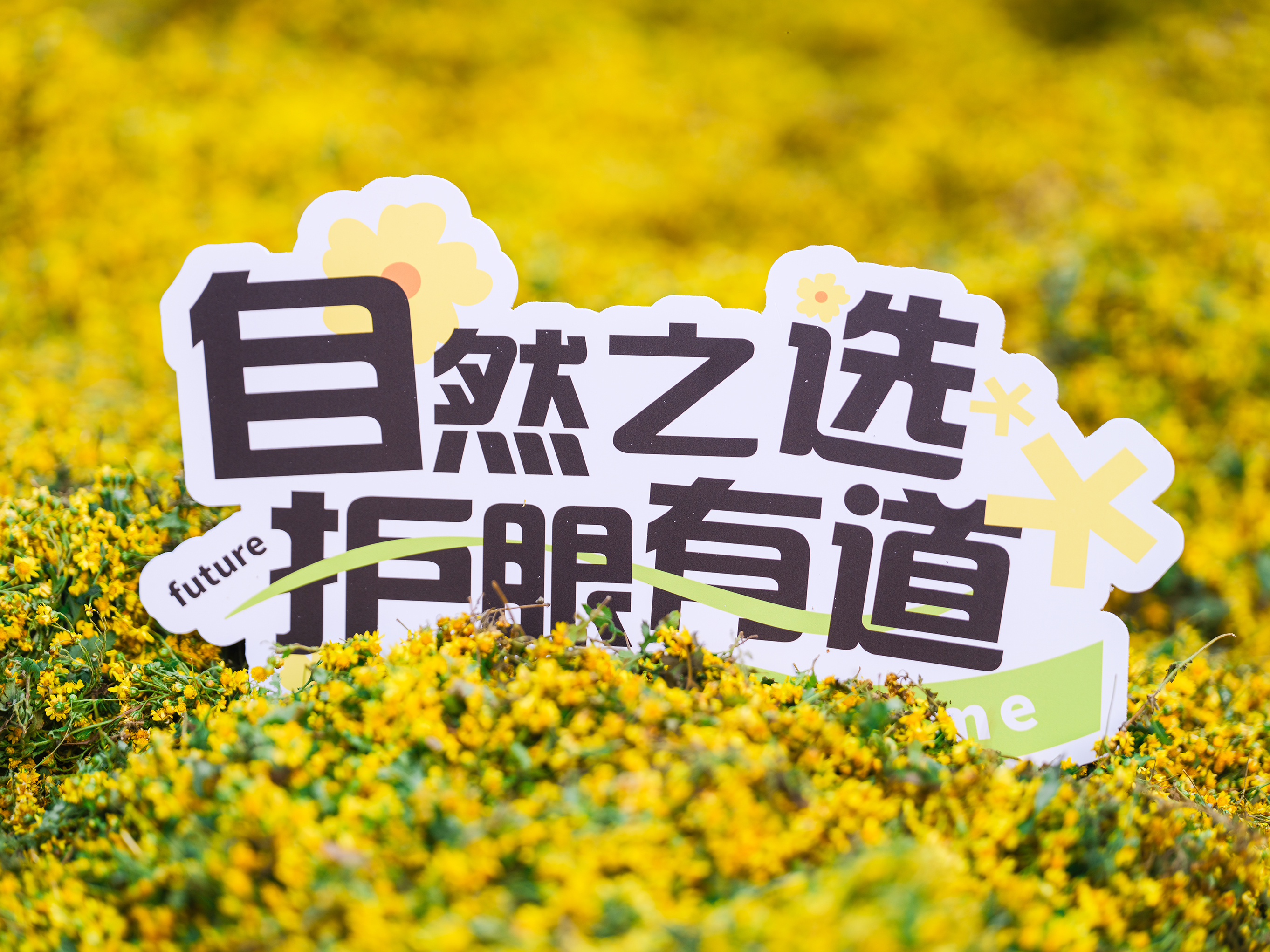 香港九龙精准特料